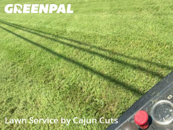 Lawn Care Service nearby Murfreesboro, TN, 