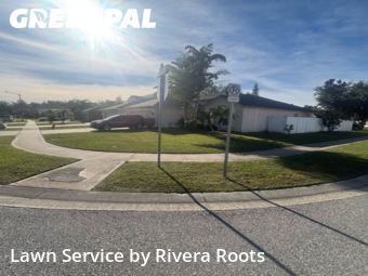 Turf Services in Meadow Woods, 32824, Lawn Services by Rivera Roots, work completed in Nov , 2025