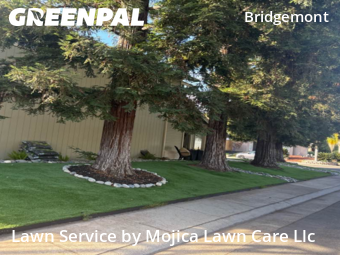 affordable-lawn-services-in-Rancho Cordova-CA