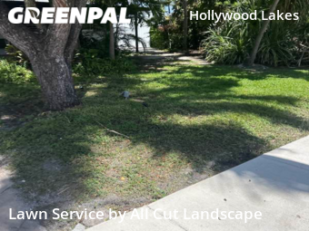 Lawn Mowing nearby Hollywood, FL, 