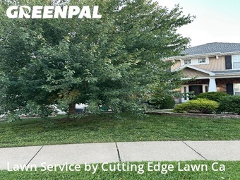 Lawn Cutting nearby Saint Charles, MO, 