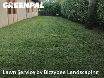 Grass Cut nearby Lake Worth, FL, 
