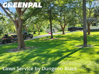 Lawn Maintenance nearby Prairieville, LA, 