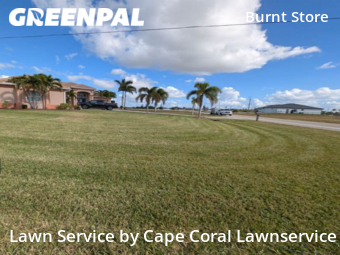 Lawn Care nearby Cape Coral, FL, 