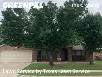 Lawn Mowing nearby Fort Worth, TX, 