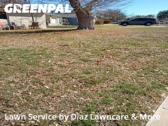 Yard Cutting nearby San Antonio, TX, 