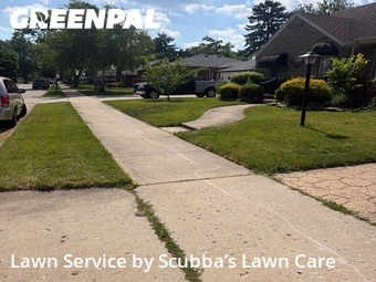 Lawn Cut nearby Lincoln Park, MI, 