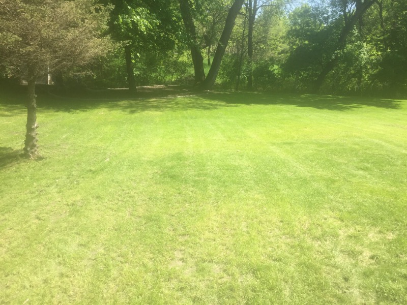 True Lawn Cutters Lawn Care Services in Kenyon, MN