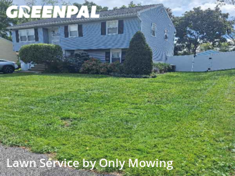 Lawn Maintenance nearby Latham, NY, 