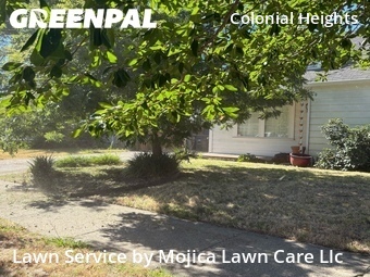 Landscaping Maintenance In Sacramento,95820,Landscaping Cleanup by Mojica Lawn Care Llc, work completed in Jun , 2026