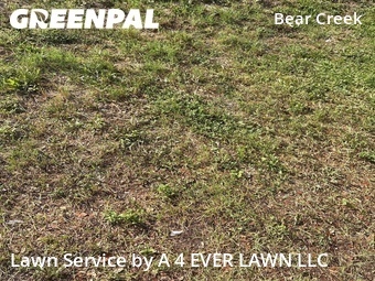 Lawn Mowing Service nearby New Port Richey, FL, 