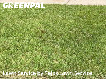 Lawn Mow nearby Austin, TX, 