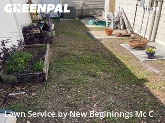 Lawn Maintenance nearby Tampa, FL, 