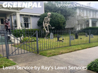Lawn Care nearby New Orleans, LA, 
