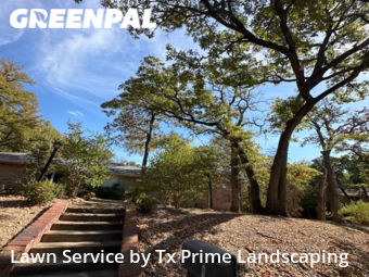 Lawn Cut nearby Euless, TX, 