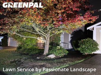 Lawn Management in Lacey, 98503, Lawn Upkeep by Passionate Landscape, work completed in Nov , 2025