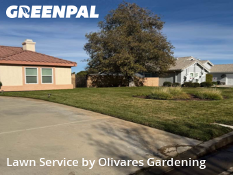 Landscaping Installation Palmdale,93551,Landscaping Cleanup by Olivares Gardening , work completed in Dec , 2025