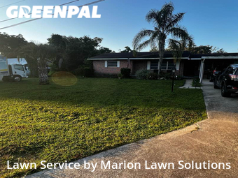 Lawn Care nearby Belleview, FL, 