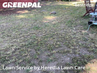 Lawn Cut nearby Citrus Heights, CA, 