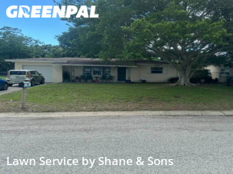 Lawn Cut nearby St. Petersburg, FL, 