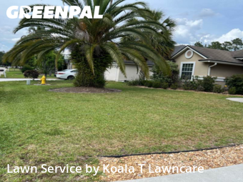 Grass Cutting nearby Jacksonville, FL, 