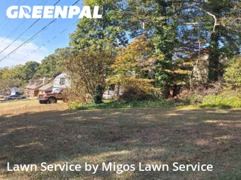 Yard Cuttingin Lawrenceville,30046,Lawn Care by Migos Lawn Service, work completed in Nov , 2025