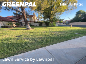 Lawn Mow nearby Gilbert, AZ, 
