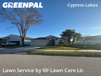 Yard Mowingin Oldsmar,34677,Grass Cutting by Sfr Lawn Care Llc, work completed in Jun , 2026