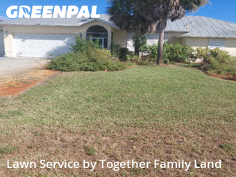 Lawn Cut nearby Port Charlotte, FL, 
