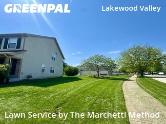 Lawn Cut nearby Aurora, IL, 