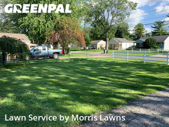 Lawn Mow nearby Toledo, OH, 