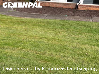 Yard Mowing nearby Cumming, GA, 