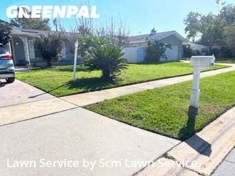 Lawn Maintenance nearby Clearwater, FL, 