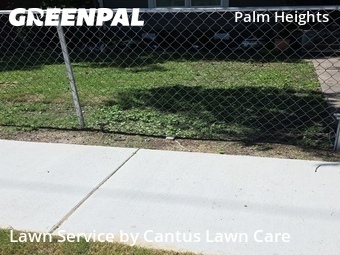 Lawn Cut nearby San Antonio, TX, 