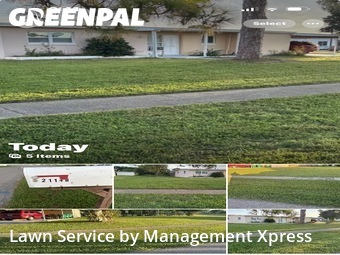 Lawn Mow nearby Port Charlotte, FL, 