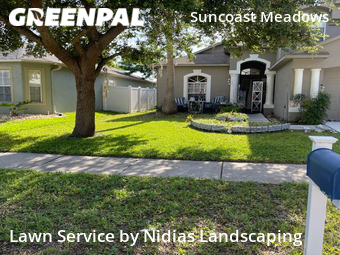 Yard Cutting nearby Land O' Lakes, FL, 