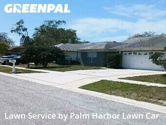 Lawn Care Service nearby Palm Harbor, FL, 