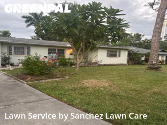 Grass Cut nearby Bradenton, FL, 