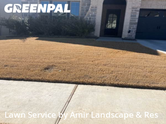 Lawn Cut nearby Fort Worth, TX, 