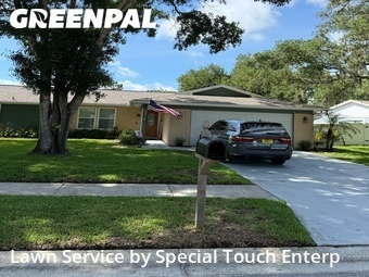 Grass Cut nearby Oldsmar, FL, 