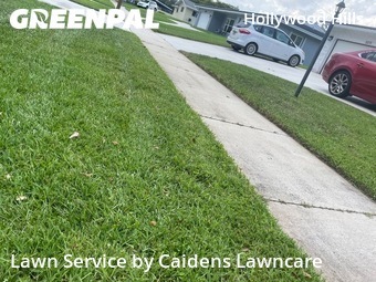 Lawn Mowing Service nearby Hollywood, FL, 