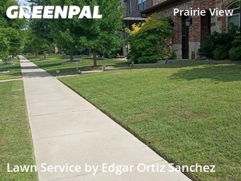 Yard Mowingin Frisco,75035,Lawn Maintenance by Edgar Ortiz Sanchez, work completed in Jun , 2026