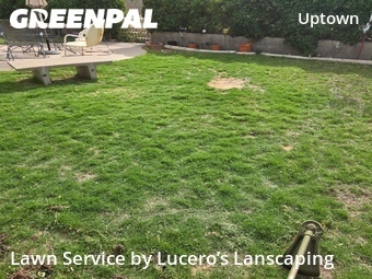 Lawn mowed in Albuquerque, 87110