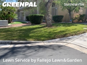 Lawn mowed in Las Vegas, 89135