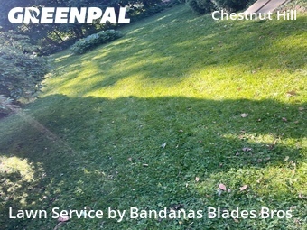 Lawn Maintenance nearby Philadelphia, PA, 