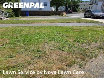 Lawn mowed in Malden, 2148