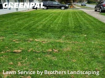 Yard Cutting nearby Newark, DE, 