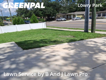 Lawn Mow nearby Tampa, FL, 