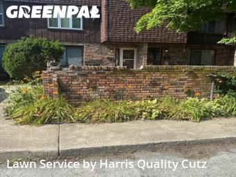Lawn Care nearby South Chicago Heights, IL, 