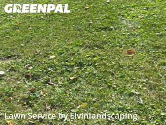 Lawn Services in Middle River, 21220, Backyard Mowing by Elvinlandscaping, work completed in Nov , 2025